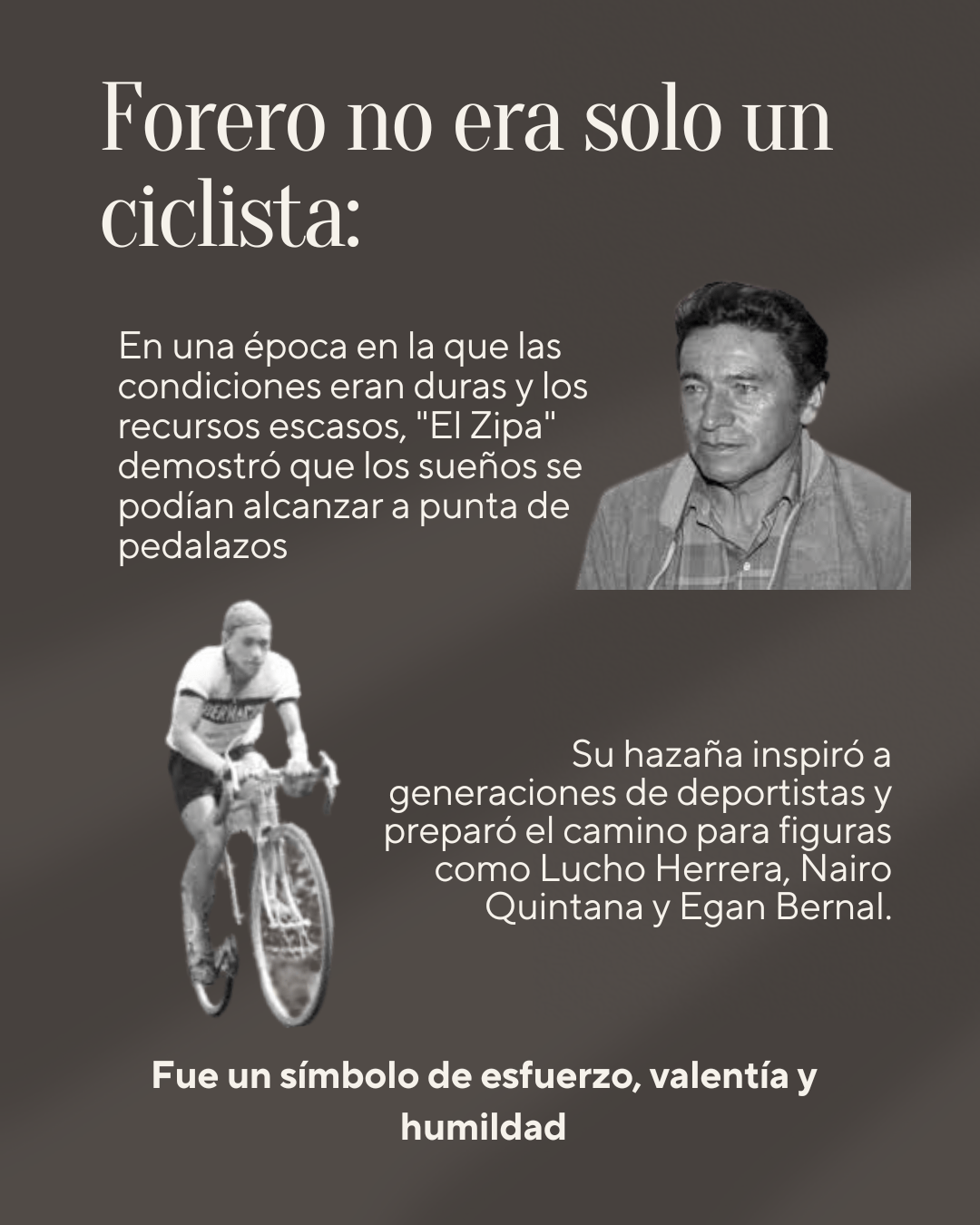 Imagen 6
