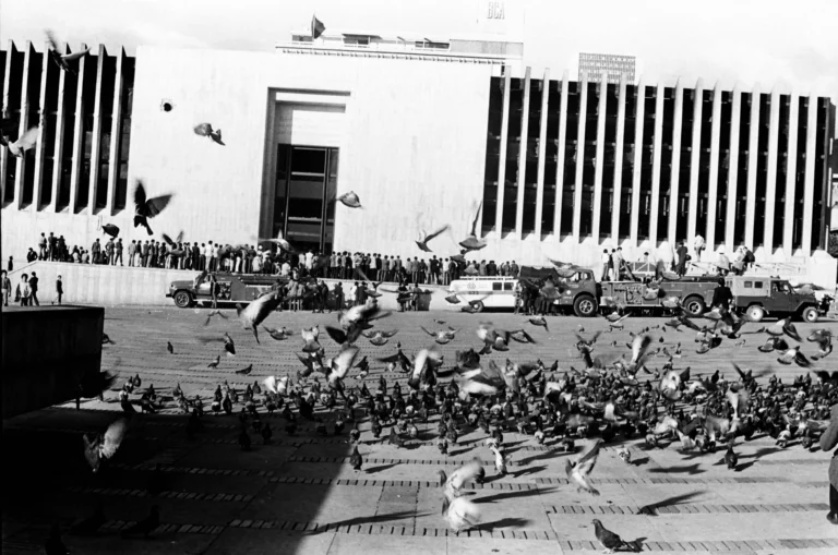 1.-67990015-min-1-scaled