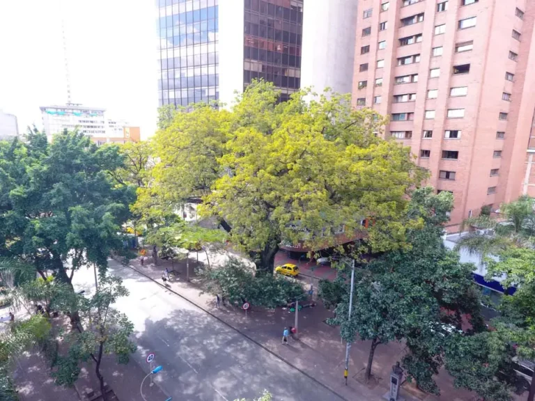 Imagen-foto-ppsl-min