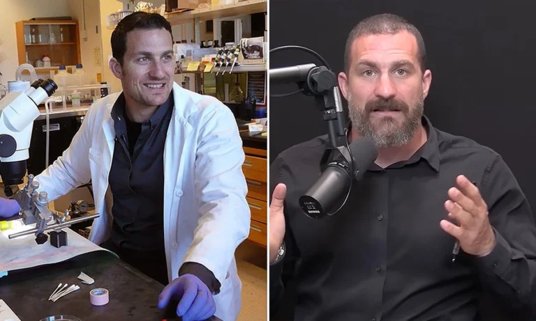 1_8kqhSlGULYbDgLnsCXn2lQ