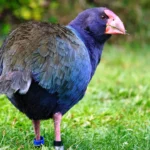 GettyImages-1320118773