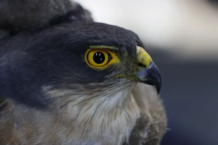 WhatsApp Image 2025-12-01 at 8.27.37 AM