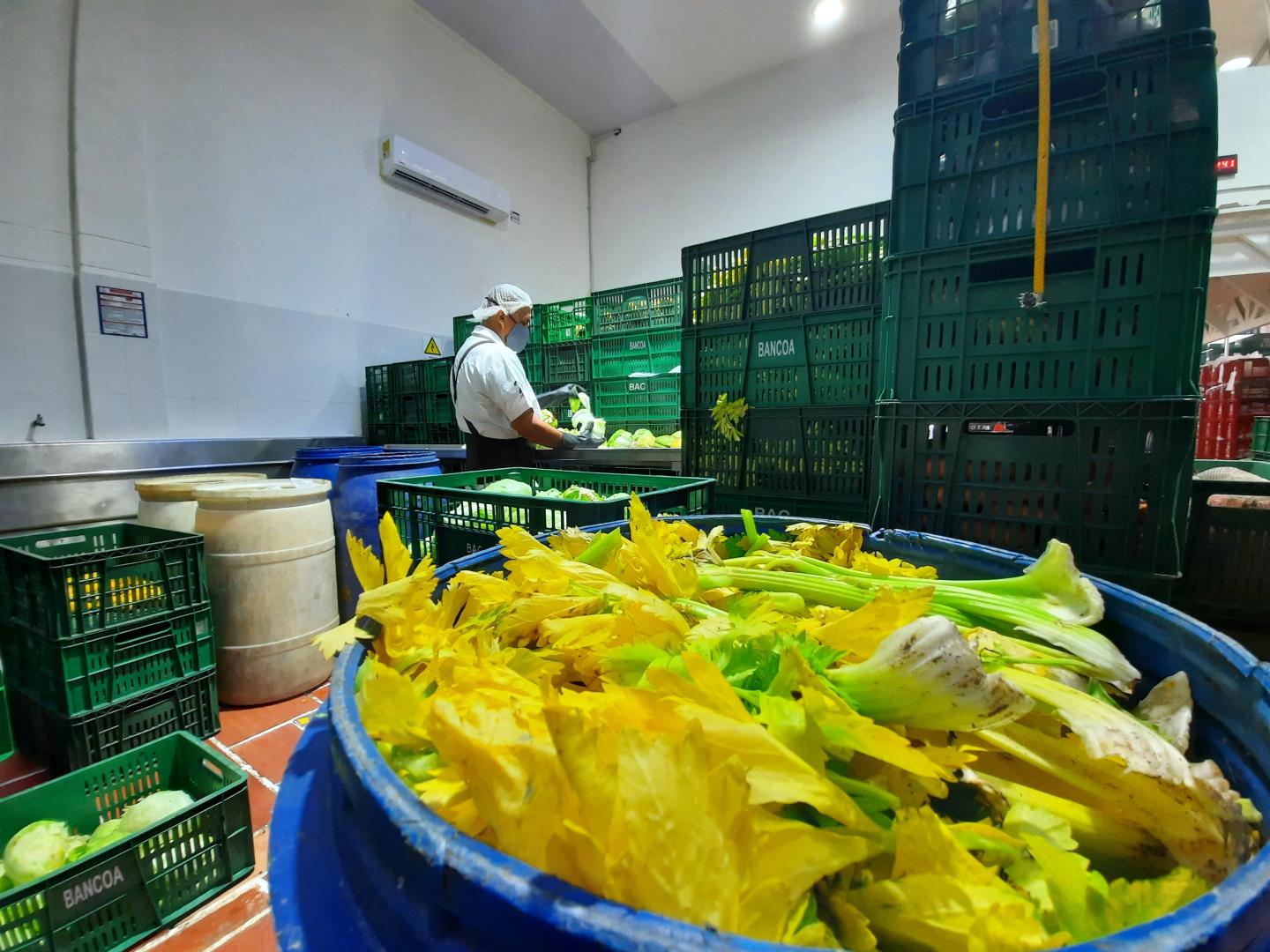 PÉRDIDA Y DESPERDICIO DE ALIMENTOS BANCO DE ALIMENTOS CALI