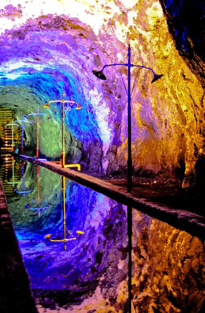 photo_4963173811540921302_y