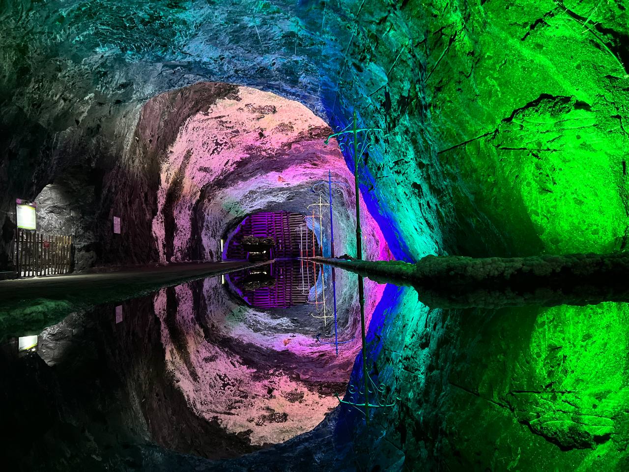 photo_4963173811540921303_y