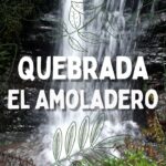 Jornada de limpieza y escuela ambiental en la Quebrada El Amoladero Zipaquirá