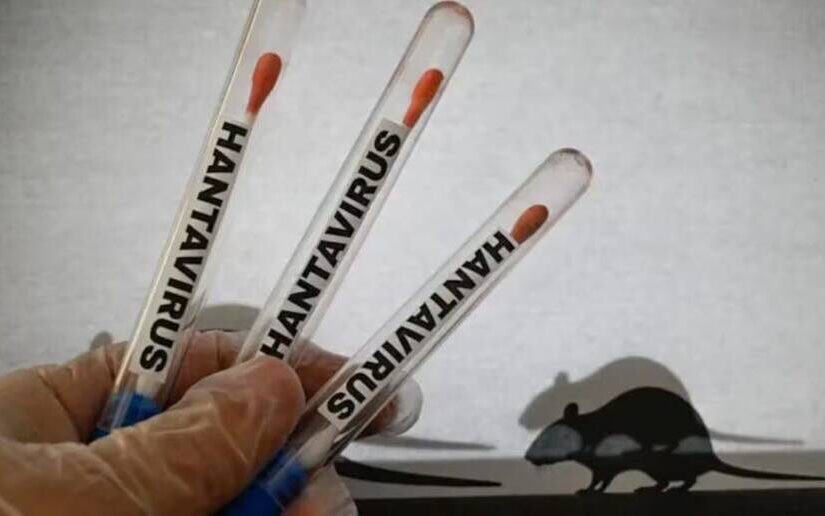 Hantavirus