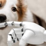 IA-comunicarnos-con-animales