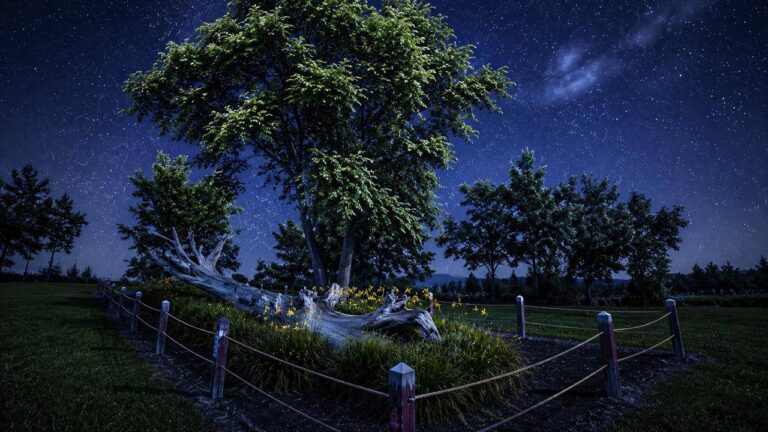 Nemocón se consolida como destino de Astroturismo