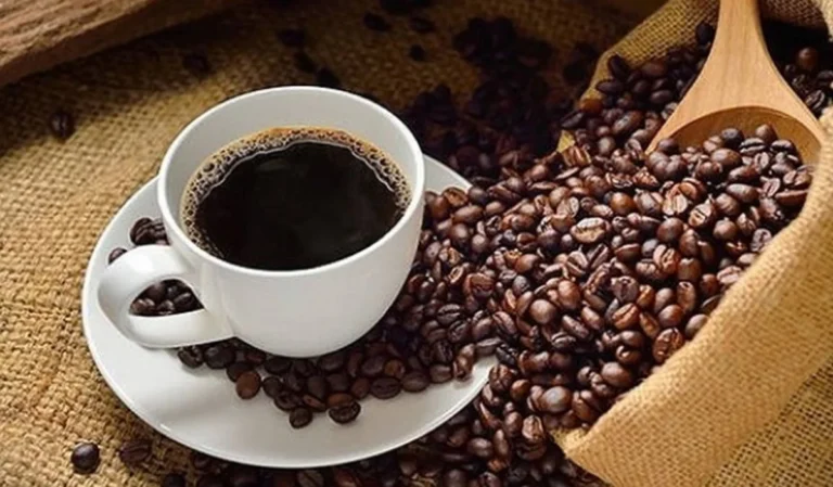 Coffee Master 2026 la ruta de café de especialidad más grande de Colombia