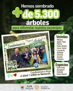 Nemocón supera los 5300 árboles sembrados