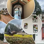 descubre-nemocon-colombia-como-conocer-colombia-en-bus-2
