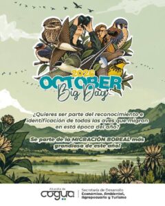 Cogua se prepara para el October Big Day 2026