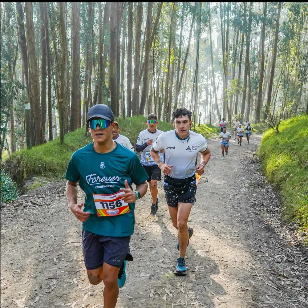 recorrido-bosque-trail-running-de-colores-catedral-de-sal